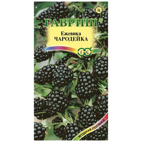 ���� ������ ������ ������� ���������, 10 ��. ������ ������