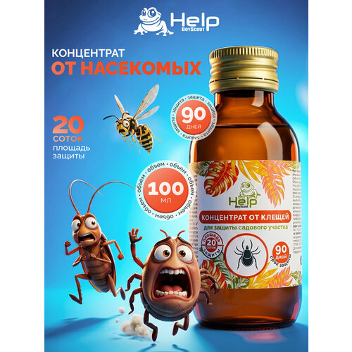 ���� ���������� �� ������, �������� �� 20 �����, �������������, 100 �� HELP ������ ������