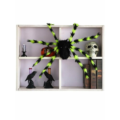 ���� ���������� �������� ���� 75 �� �������� ������� ������ ������