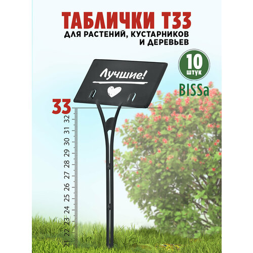 ���� ������� �������� ��� ��������, Bissa �33, ������, 10 �� ������ ������