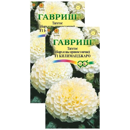 ���� �������� ������������ F1 (0,05 �), 2 ������ ������ ������