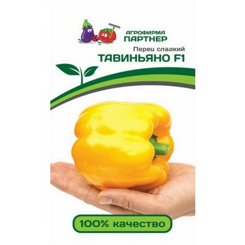 ���� ������ ����� ��������� F1 /��������� �������/ 1 ��������,5 ����� ������ ������