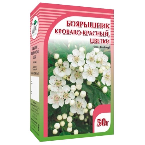 ���� ����� ����� ��������� �������-������� ������ ������