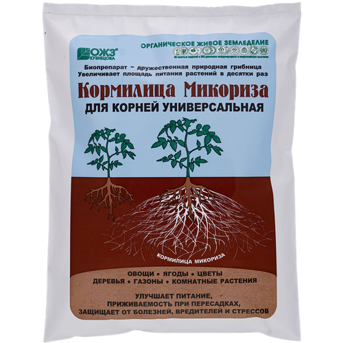 ���� ��������� ��������� �������� 1 � (�/�) ������ ������