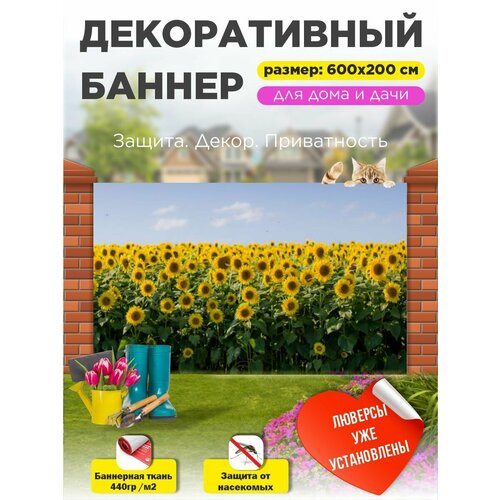 ���� ��������� ������ �� ����� � ��������� 600�200 �� ������ ������