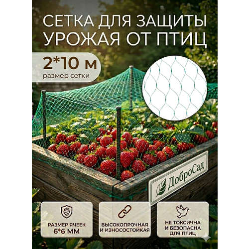 ���� ����� ������� 2*10� ��� ������ �� ���� �������� ������ ������