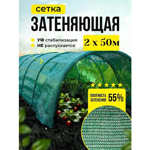 ���� ����� ���������� 55% ��� ������, �������, �������, ������ 2� � 50 � ������ ������