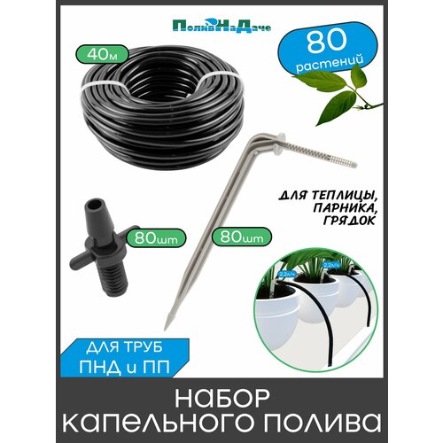 ���� ����� ���������� ������ �� 80 �������� ��� �������, �������, ������, � ��������� ��������� ������ ������
