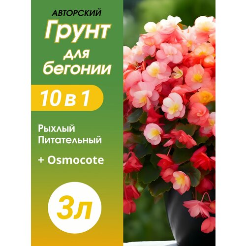 ���� ����� ��� ������� ������� 3� ������ ������