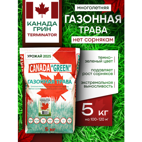 ���� �������� ����� ������ ������ ���� ��� �������� 5�� / Canada Green Terminator 5�� ������ ������