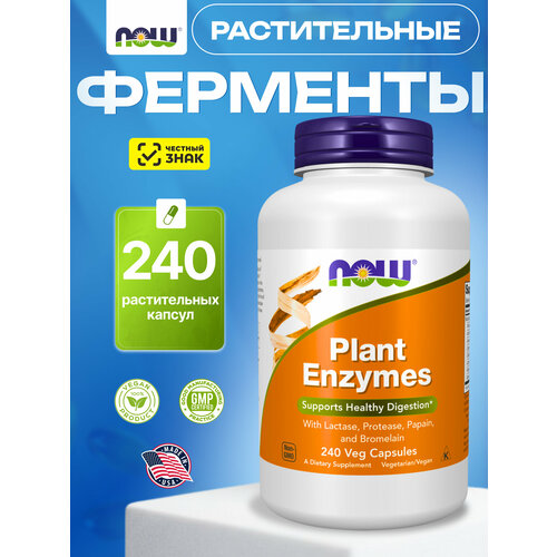 ���� NOW Plant Enzymes, ������������ ��������, ��� ��������� �����������, 240 ������ ������ ������