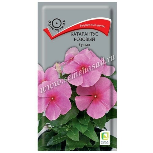 ���� ������ ���������� ������� ������ ���������� 0,1 ��. ������ ������