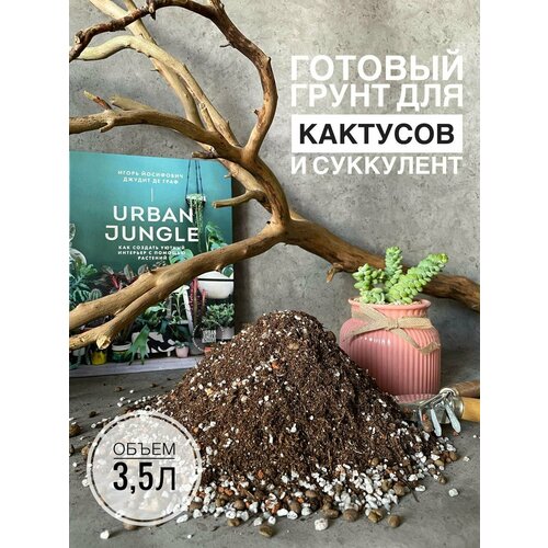 ���� ������� ����� ��� ����������� � �������� 3,5 �����, Terracotta Plants � �������� ������ ������