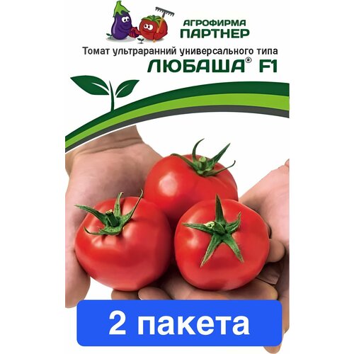 ���� ������ ������ ��������� ������� 