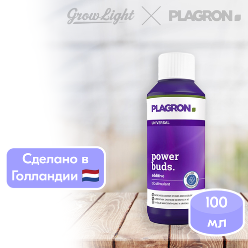     / Power Buds, 100  / Plagron   -     , -, 