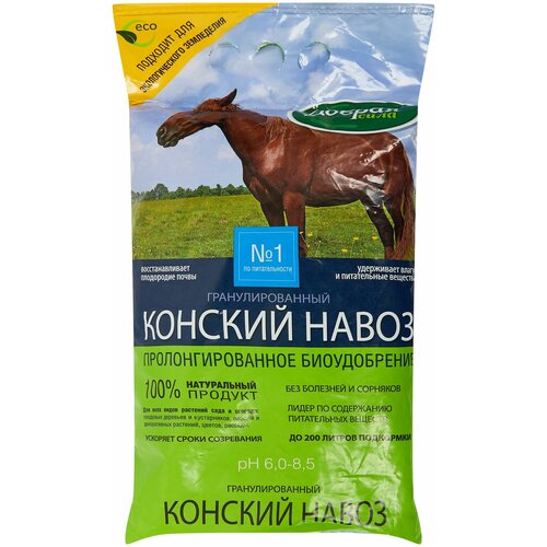 ���� ������ ���� ��������� ������ ���� ������� ����� ���������������, 2 �� ������ ������