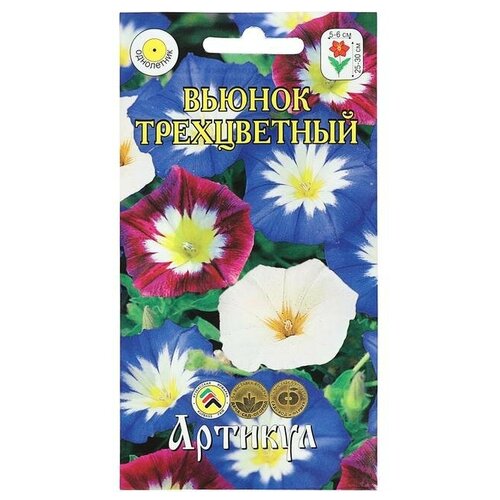 ���� ������ ������ ������ ����������� �����, 0,3 � ������ ������