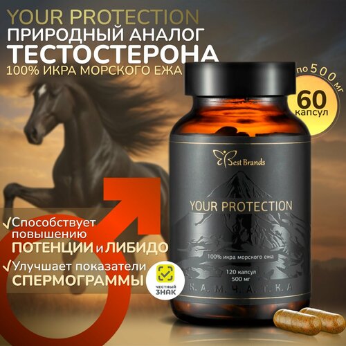  YOUR PROTECTION - 100%   .    . (60 )   -     , -, 