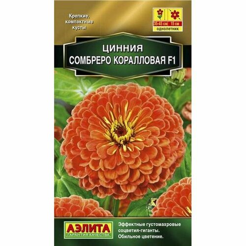 ���� ������ ������ �������� F1 ����������, ����������, (������) 12�� ������ ������