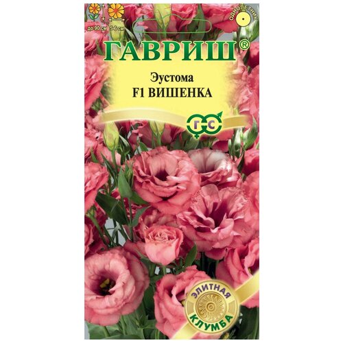 ���� ������. ������� ��������������� 