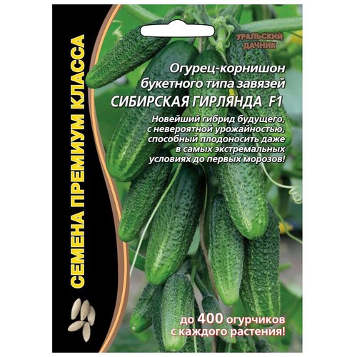 ���� ������ ��������� ������ ������� ������ ��������� �������� F1 5 ��.���������� ������ ������