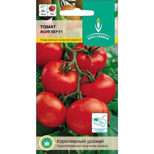 ���� ����� ������ F1. ������. ����������� ������ ��� ��������� ������ � �������� ������. �������� ������� �� 60 ��. ����� ��������������, ������ 140-160 ��. ������ ������