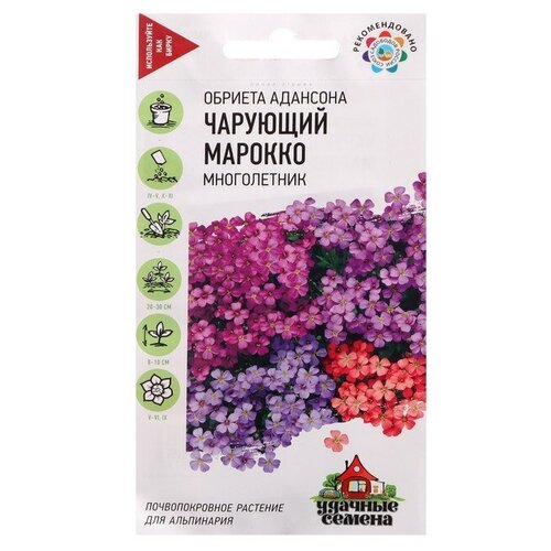 ���� ������ ������ ������� 