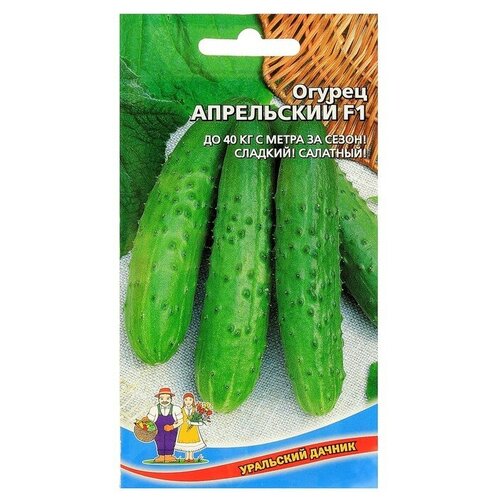 ���� ������ ������ ���������� F1, �����������, ������������������, 10�� ������ ������