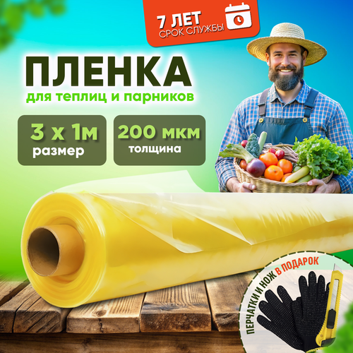 ���� ������ �������������� ��� ������ � �������� ���� 200��� 3�1� ������ ������