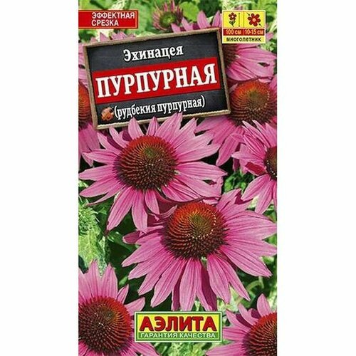 ���� ������ �������� ��������� (�������� ���������), �����������, (������) 0,2� ������ ������