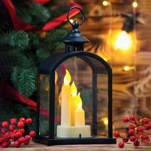 ���� ���������� ���������� ������������ 