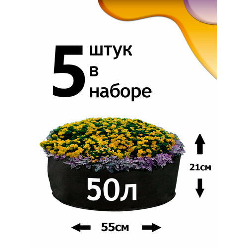 ���� ������ �� ����������� - 50� - 5�� ������ ������