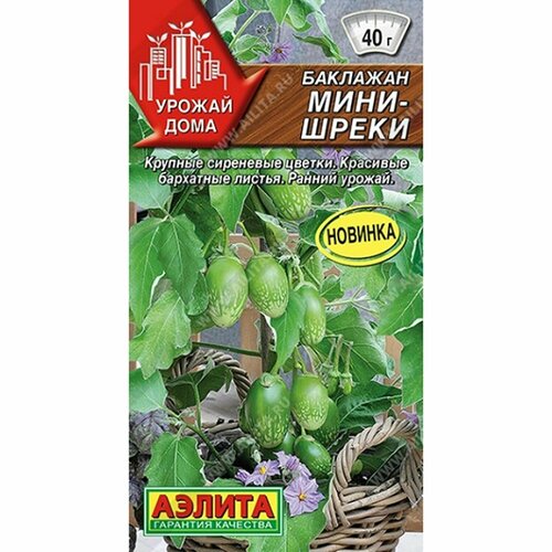 ���� ������ �������� ����-����� (������) 10�� ������ ���� ������ ������