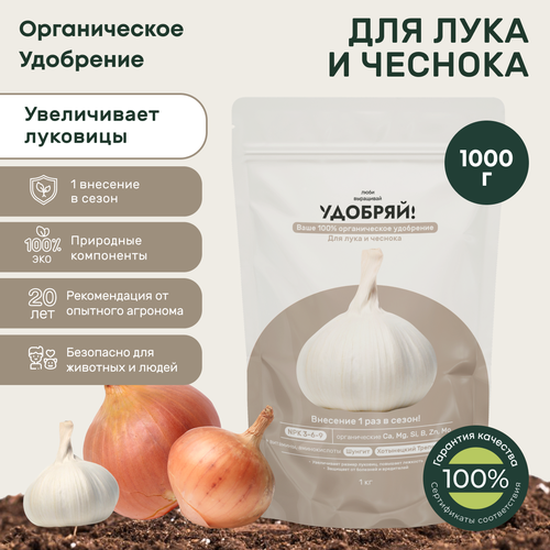 ���� ��������� ��� ���� � �������, ���������� ������� 1�� ������ ������