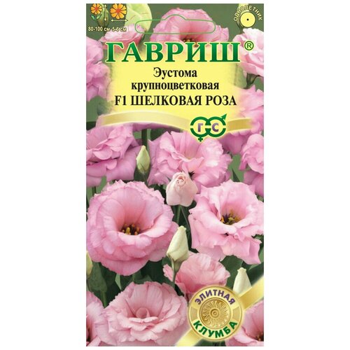 ���� ������ ������� �������� ���� F1, �����, 4 ��, ������, ������� ������, 10 �������� ������ ������