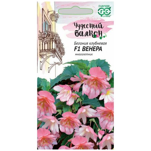 ���� ������ ������� ��������� ��������� ������ F1, 4��, ������, �������� ������, 10 �������� ������ ������