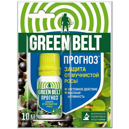 ���� Green Belt �������� ��� ������ �� ��������� ���� �������, 10 ��, 33 � ������ ������