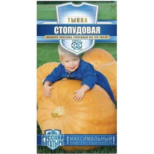 ���� ����� ����������, 1 �����, ������, ������ 1� ������ ������