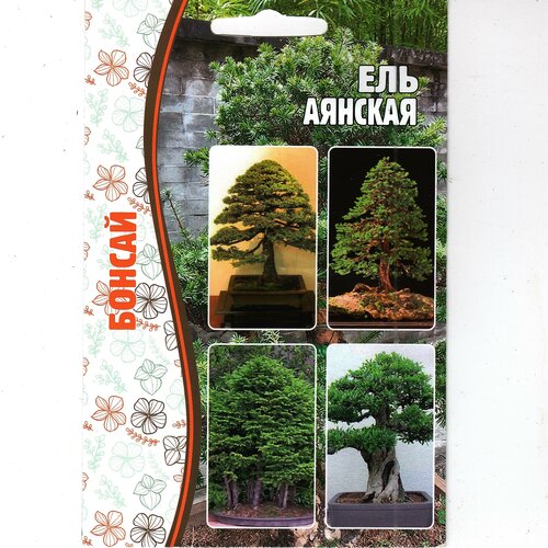 ���� ������, ��� �������, ��������� ������ ( 1 ��: 10 ����� ) ������ ������