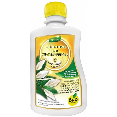 ���� ���-�������� ����������� 