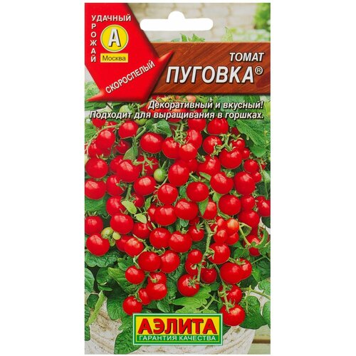 ���� ������ ����� ������� ������ ������