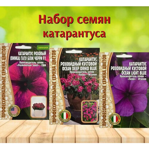 ���� ������ ��������� �������� � ������ ���������� ����� 3 ��. ������ ������