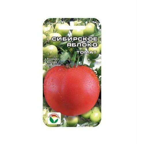 ���� ��������� ������ 20�� ����� (��� ���) ������ ������