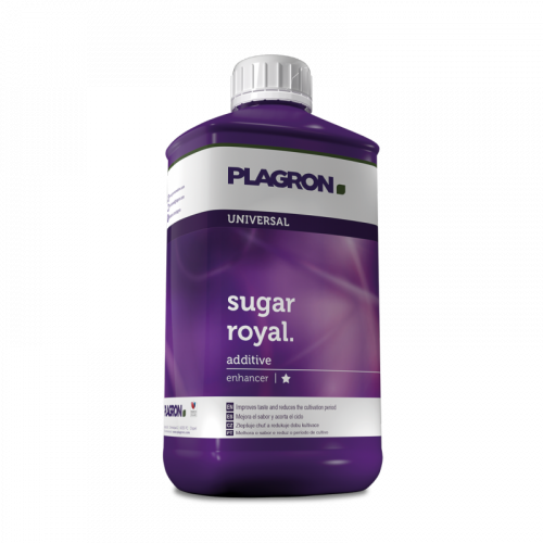   PLAGRON Sugar Royal (5 )   -     , -, 