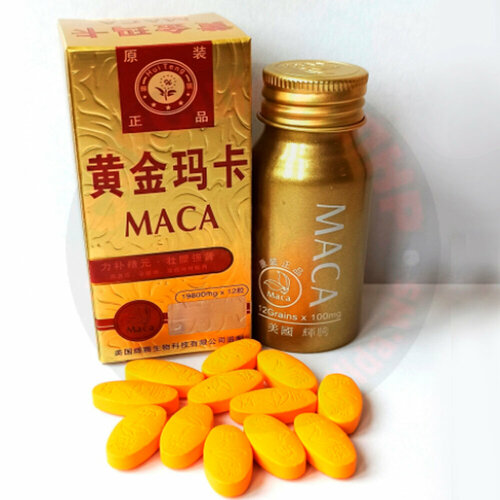    MACA,    ,  ,   (12 )   -     , -, 