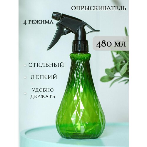 ���� ������������� (�����������) ��� ���� ������� 480 ��. ������ ������