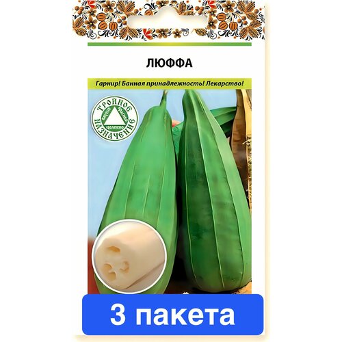 ���� ������ ������ ������� ������ 