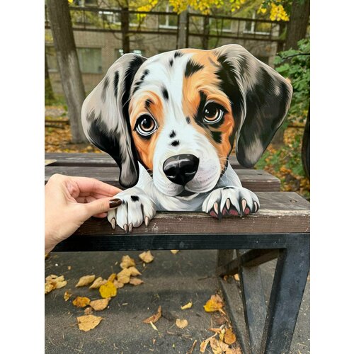 ���� ����� �� ������� ��� ����, ���� 