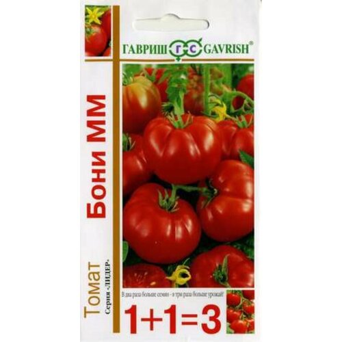 ���� ������ ����� ���� �� 0.2� ��� ������ (������) 1+1 ������ ������