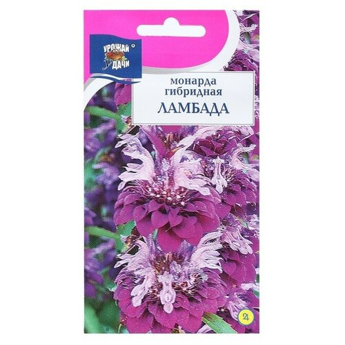 ���� ������ ������ ������� ��������� 